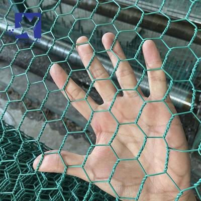 China Straight Twist PVC Coated Galvanized Hexagonal Chicken Wire Mesh Netting for sale