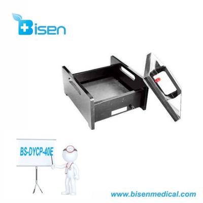 China Rapidly Transferring Protein Molecule From Gel To Membrane BS-DYCP-40E DNA Sequencing CE Approved China Supplier Lab Biochemical Electrophoresis Cell for sale