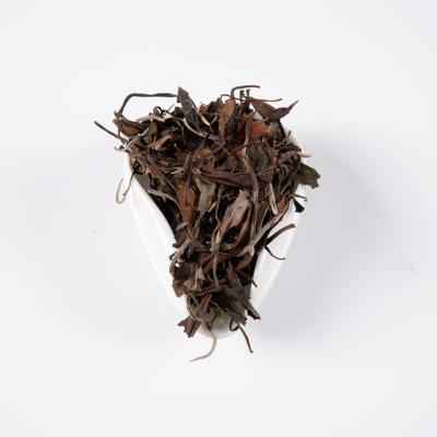 China Fuding natural/high quality Chinese old famous white tea shoumei leaves healthy and slimming natural baicha from Fujiang province for sale