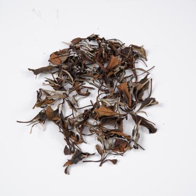 China Old Natural High Grade/High Grade Shoumei White Tea With Loose Healthy Diet Tea zu verkaufen