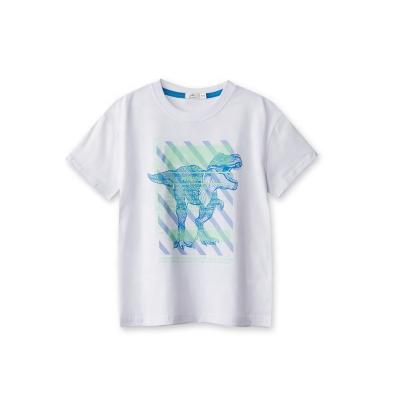 China 2022 Custom Made Cotton Animal Dinosaur Tops Summer Factory Children Kids Boys Breathable Short Sleeve T-shirts for sale