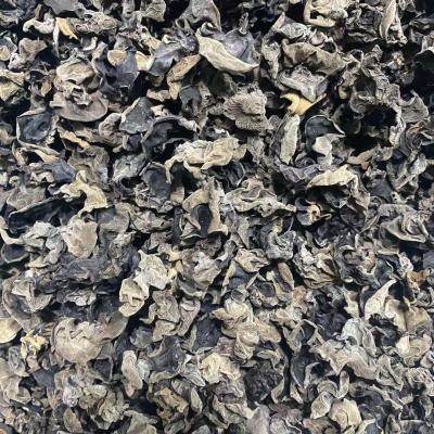 China Small and thin dry black mushroom for sale