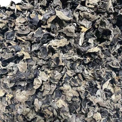 China Wholesale High Quality Dried Muer Black Mushroom for sale