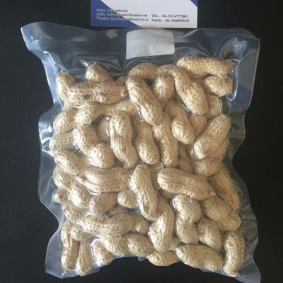 China New Cultured Good Quality Dried Wholesale Peanut In Shell 9/11 for sale