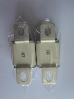 Cina 30A - 450A Copper EV Protection Fuse For Automotive 12V - 24V in vendita