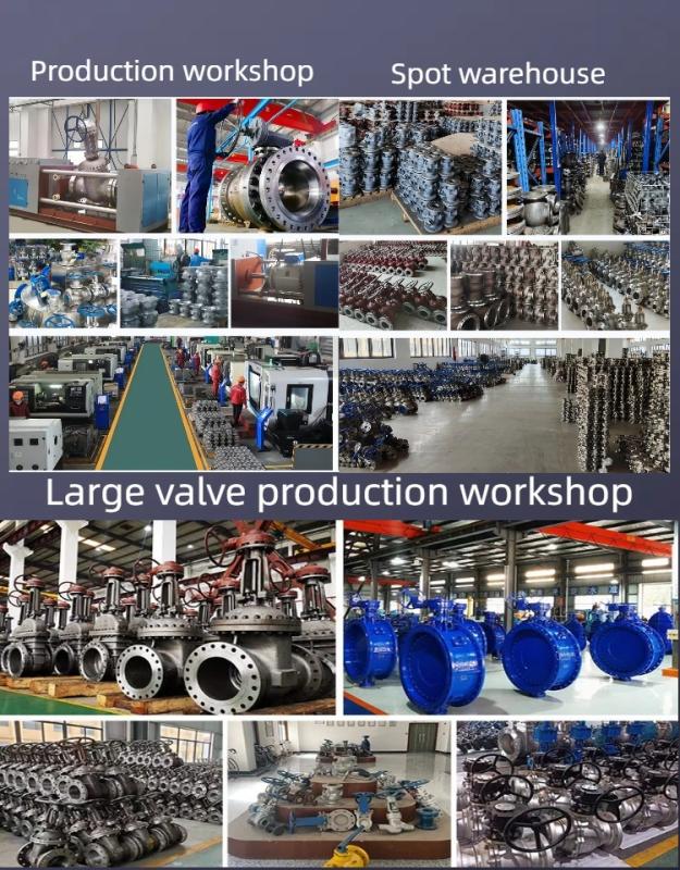 Verified China supplier - Fujian Lv Yang High-tech Industrial Co., Ltd.