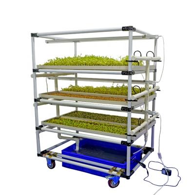 China Easy Growing Hydroponic Fodder Container Grow Trays Hydroponic Fodder Machine Indoor System for sale