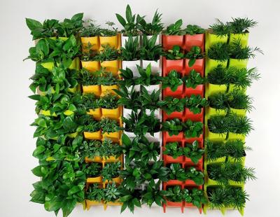 China Easy Growing Wall System Modular Green Flower Wall Decoration Green Planter Outdoor Green Plant for sale