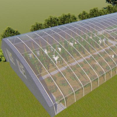 China Cheapest Low Cost Lyine In Stock Multi-Span Plastic Sheet Green House Greenhouse Frame For Sale for sale