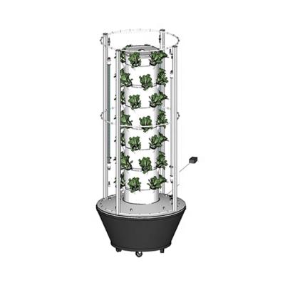 China Lettuce Garden Grow Kit Indoor Grow System Hydroponics for sale