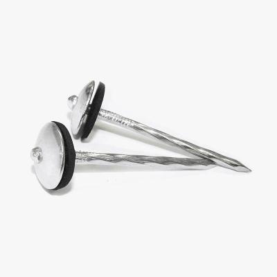 China Hot Sale Umbrella Cap Head Twisted Leg Roofing Nail Roofing Nail With Joints for sale