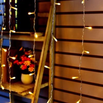 China Girl's High Quality Home Room LED Light Romantic Waterproof Warm White Electric Fairy Lights for sale