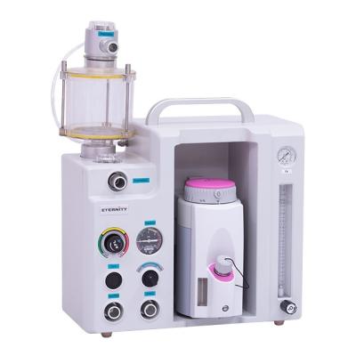 China Most Popular Veterinary Equipments AM803 Anesthesia Machine Small Animal Medical Equipment AM803 Te koop