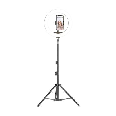 China Adjustable Selfie Ring Light with Tripod and Cell Phone Stand Computer Laptop Video Conferencing Individual Live Streaming-10 inch for sale