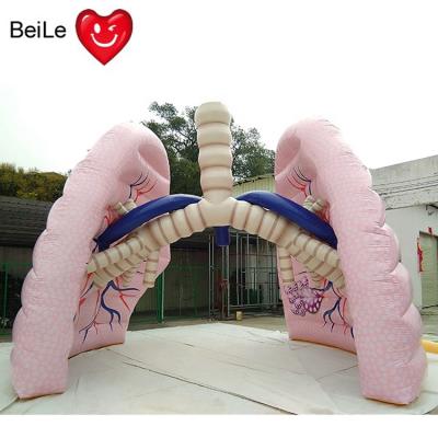 China For Advertising Customized Cheap Inflatable PVC Lung Balloon For Exhibition for sale