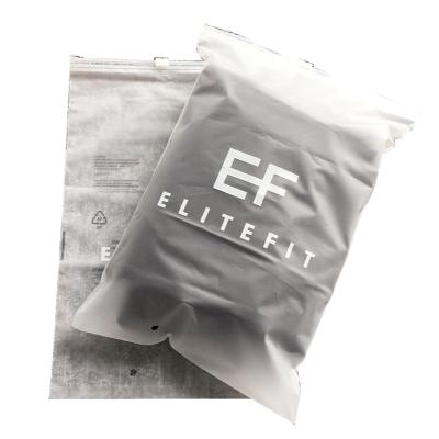 China Recyclable 6*9 Custom Printed Frosted Waterproof Customized Ziplock Bag for sale