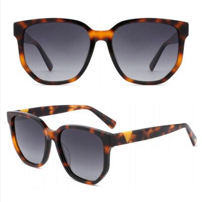 China Unisex Oversized Sunglasses FG1060S Stylish Oversized Acetate Sunglasses 2021 Hot Selling Sun Glasses for sale