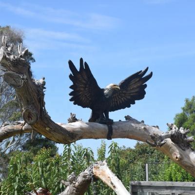 China Europe Customized Life Size Bronze Bird Animal Sculpture Brass Eagle Statue For Tree Decoration for sale