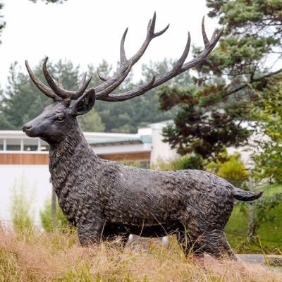 China China Metal Elk Animal Sculpture Life Size Bronze Deer Statue For Home Outdoor for sale