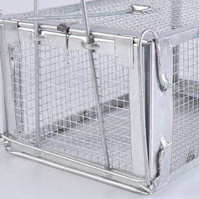 China Galanised Disposable Mouse Trap Mesh Animal Cage Live Catch Wire Cage Rat Trap for sale