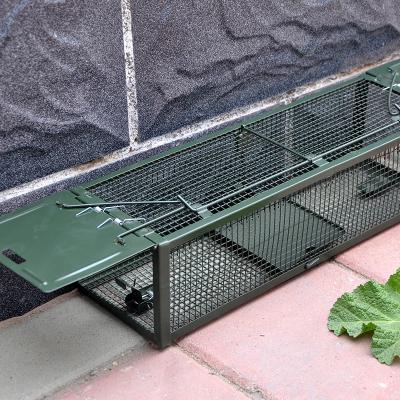 China 66 x 23 x 25cm Animal Mouse Killer Rodent Live Hunting Trap Catch Alive Disposable Humane Mouse Trap Cage for sale