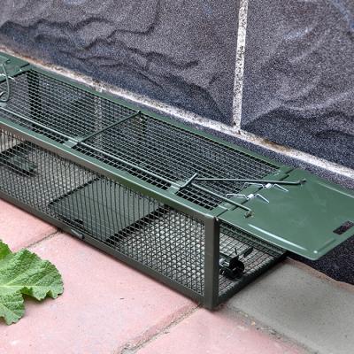 China Living Cage Disposable Animal Hook Folding Eco - Friendly Trap For Large Pests for sale