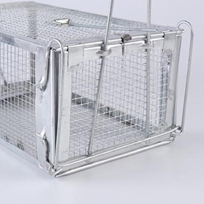 China Live Catch Mouse Metal Foldable Disposable Humane Rat Trap Animal Cage With Double Doors for sale