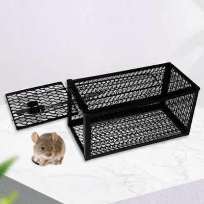 China Reusable Animal Wire Mesh Disposable Easy Set Trap Cage Cages For Large Animals for sale