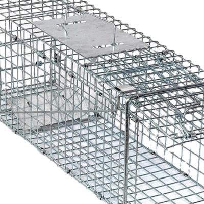 China Disposable Hunting Live Animal Trap Cages for Mink Rodent Cat Catch Rats for sale