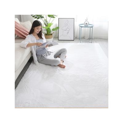 China Sales Solid Color Washable Polyester Hot Stain Resistant And Non-Slip Blanket For Picnic And Business for sale