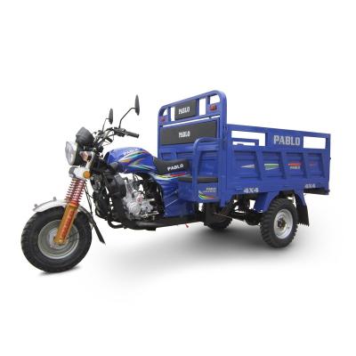 China Hot Sale 3-Wheel Cargo Motorcycle Cheap Price Tricycle For Adult for sale