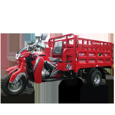 China Custom 250cc Cargo Double Cabin Convenient 600W Freight Vending Fruit Power Gasoline Covered Cargo Tricycle Motorcycle for sale