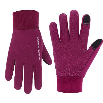 China Big Grip Warm Lining / Good Fit Handlandy High Quality Fleece Cycling Customizable Logo Touch Screen Running Hiking Winter Sports Gloves for sale