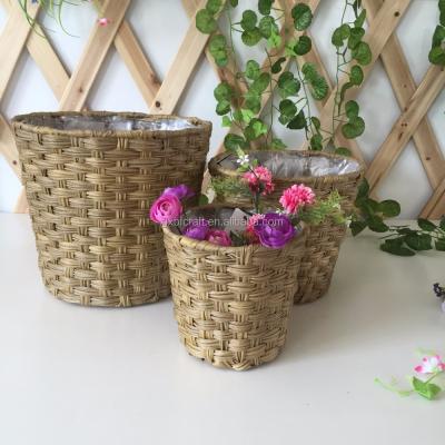 China Flower Planting BENFLY Rattan Woven Wall Baskets Decor Vegetable Plankton Storage Home Hanging Baskets For Gifts for sale