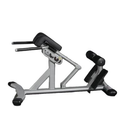 China Weight Forming Equipment Professional Fitness Gym Dumbbell Weight Lifting Training Adjustable Flat Press Bench Set for sale