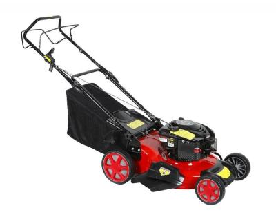 China Hot Selling 2-Stroke Gasoline Lawn Engine for sale