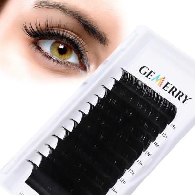 China Easy To Fan Individual Volume Lashes Extension Matte Black Classic Silk Eyelashes Loop Wholesale Private Label C cc D U Highlights for sale