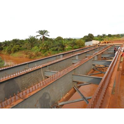 China Industrial Wholesale Goods Precast Portable Landscape Walking Bailey Bridge for sale