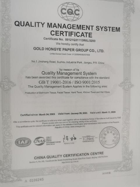 ISO9001 - Gold Hongye Paper Group Co., Ltd.