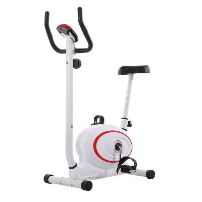 China Home Use Mini Gym Cheap Indoor Exercise Bike Fitness Spin Trainer for sale