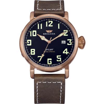 China Day/Date Quality Bronze Luminous Swiss Movement Pilot watch for sale