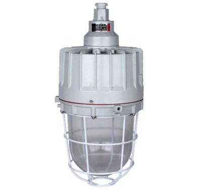 Κίνα LED Explosion Proof Lights Luminaire Lamp For Indoor And Outdoor προς πώληση