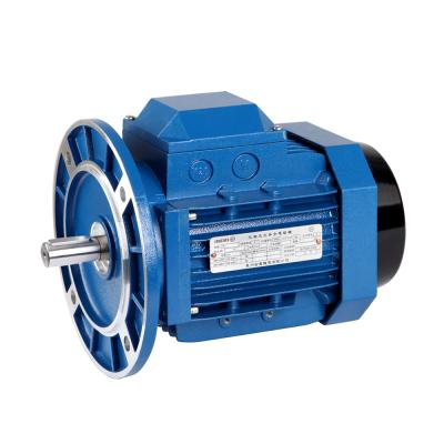 China YS-5612 drip-proof 1/8 horsepower 2800rpm stable low noise triple phase asynchronous motor for sale