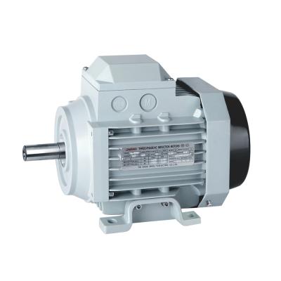 China YS-7122 1/2 Electric Three Phase Asynchronous Motor High Torque Hp 2800rpm Drip Proof for sale