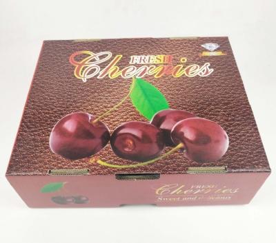 China Cherry biodegradable all kinds of fruit packaging gift box tropical fruit carrier tray box express manufacturers direct for sale