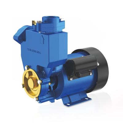 China SHENNENG 0.37kw 0.5hp family homes single phase surface water pump for sale