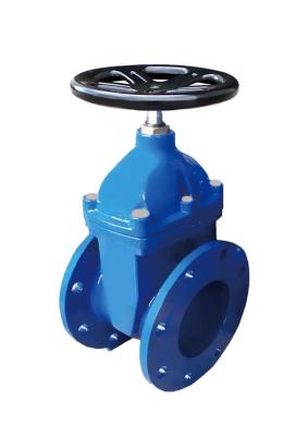 China ANSI 125 ANSI 150 Ductile Iron Strainer PN16 PN10 Cast Iron Gate Valve for sale