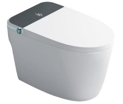 China Siphonic Intelligent Toilet Ceramic Bowl  Top Standing High Tech  Modern Smart Toilet for sale