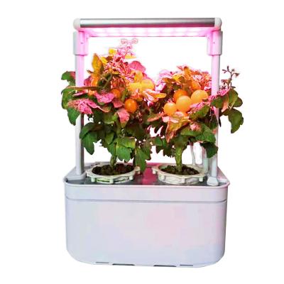 China No Light Hot Sale Amazon Relay Indoor Garden Soil Planter Flower Pot Planter Home Indoor Herb Garden Smart Starter Kit for sale