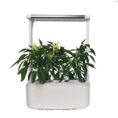 China Best Modern Relay Planter Garden Supplies Bathroom Products Grow Hydroponics System for sale